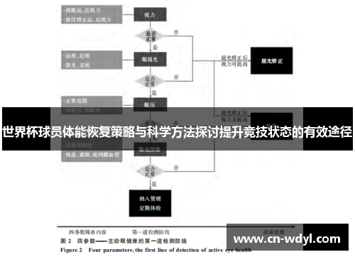 世界杯球员体能恢复策略与科学方法探讨提升竞技状态的有效途径