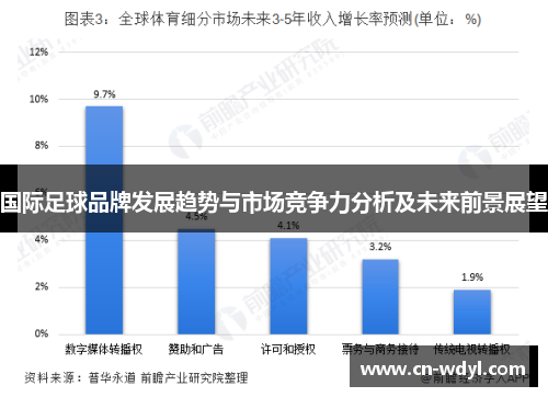 国际足球品牌发展趋势与市场竞争力分析及未来前景展望