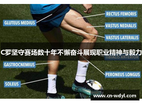 C罗坚守赛场数十年不懈奋斗展现职业精神与毅力