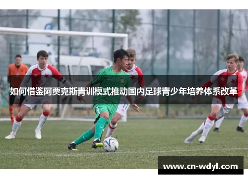 如何借鉴阿贾克斯青训模式推动国内足球青少年培养体系改革 如何借鉴阿贾克斯青训模式推动国内足球青少年培养体系改革
