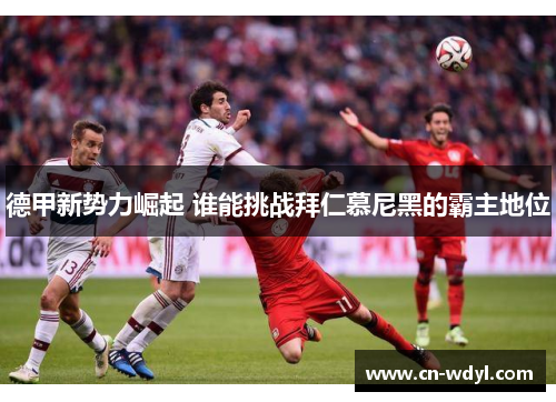 德甲新势力崛起 谁能挑战拜仁慕尼黑的霸主地位