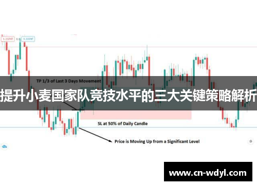 提升小麦国家队竞技水平的三大关键策略解析 提升小麦国家队竞技水平的三大关键策略解析