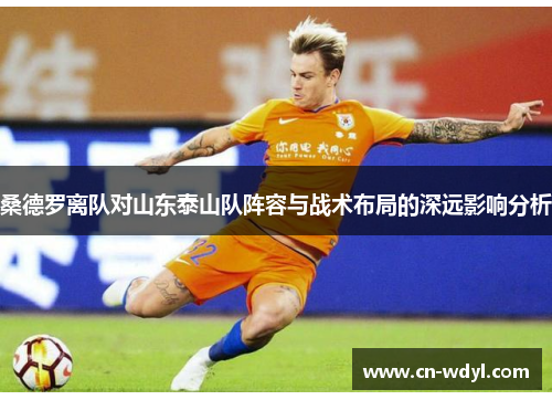 桑德罗离队对山东泰山队阵容与战术布局的深远影响分析 桑德罗离队对山东泰山队阵容与战术布局的深远影响分析