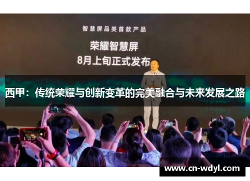西甲:传统荣耀与创新变革的完美融合与未来发展之路 西甲:传统荣耀与创新变革的完美融合与未来发展之路