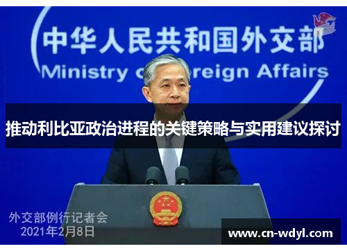 推动利比亚政治进程的关键策略与实用建议探讨 推动利比亚政治进程的关键策略与实用建议探讨