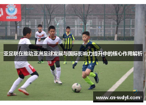 亚足联在推动亚洲足球发展与国际影响力提升中的核心作用解析 亚足联在推动亚洲足球发展与国际影响力提升中的核心作用解析