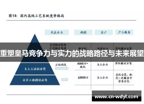 重塑皇马竞争力与实力的战略路径与未来展望