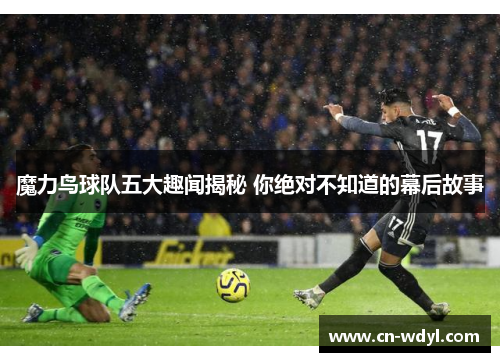 魔力鸟球队五大趣闻揭秘 你绝对不知道的幕后故事