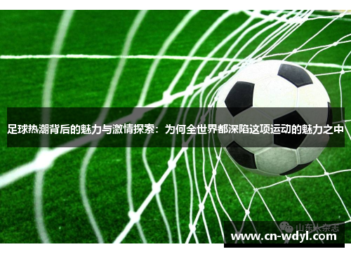 足球热潮背后的魅力与激情探索：为何全世界都深陷这项运动的魅力之中