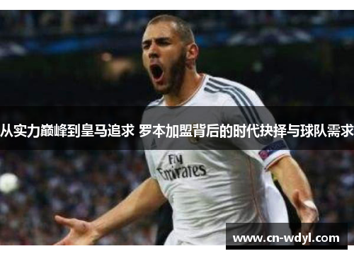 从实力巅峰到皇马追求 罗本加盟背后的时代抉择与球队需求