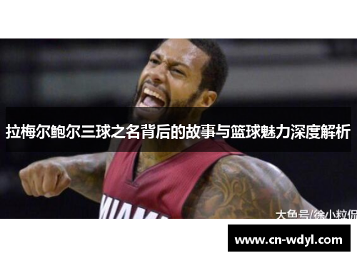 拉梅尔鲍尔三球之名背后的故事与篮球魅力深度解析