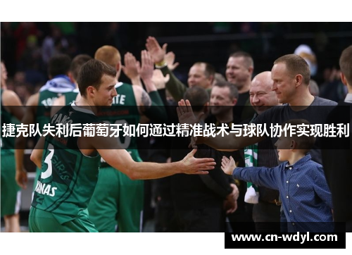 捷克队失利后葡萄牙如何通过精准战术与球队协作实现胜利