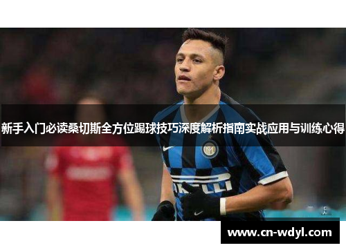 新手入门必读桑切斯全方位踢球技巧深度解析指南实战应用与训练心得