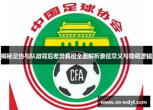 揭秘足协与队徽背后差异真相全面解析象征意义与隐藏逻辑